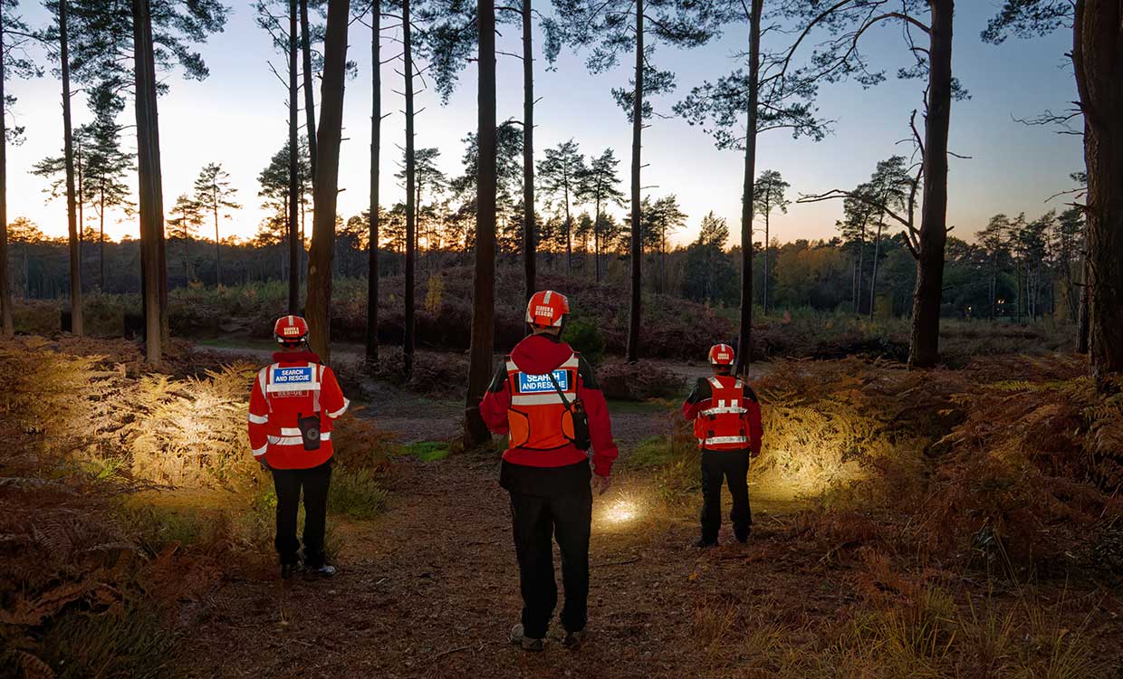 search technicians